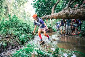 BIB: 
                            <button type="button" onclick="openModal(25514100)" class="btn btn-primary btn-sm float-right btn-popup" data-toggle="modal" data-target=".modal-high-quality">
                        <i class="fas fa-shopping-cart"></i> Add to Cart
                    </button>
                                            <button type="button" onclick="isThisMe(25514100, true)" class="btn btn-success btn-sm float-right btn-popup btn-isme hidden" data-toggle="tooltip" data-placement="bottom" title="นี่คือรูปของคุณใช่ไหม คลิกที่นี่เพื่อเอาเข้าอัลบั้ม">
                        <i class="fas fa-plus"></i> Add to album
                    </button>
                    <button type="button" onclick="isThisMe(25514100, false)" class="btn btn-warning btn-sm float-right btn-popup btn-isnotme hidden">
                        <i class="fas fa-ban"></i> Remove from album
                    </button>